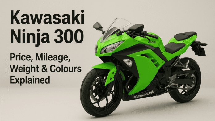 Kawasaki Ninja 300